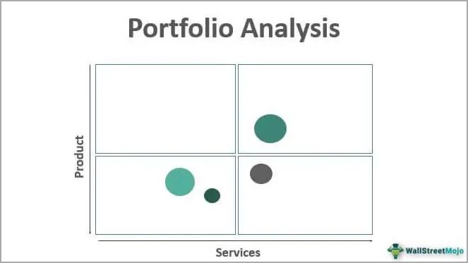 Factors Influencing Portfolio Analysis
